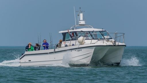Sea Fishing Boat Trips New Quay West Wales; An Epic fishing experience