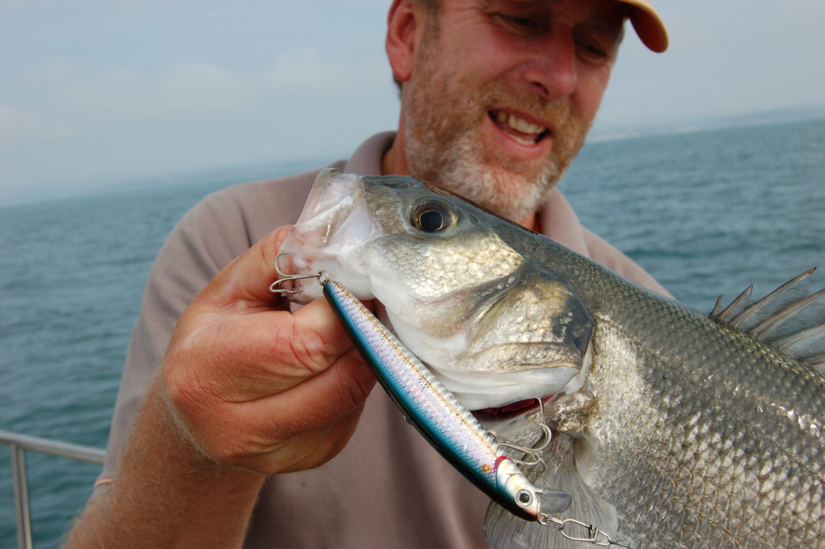 Gallery — Sea Bass Fishing — 16 January 2019