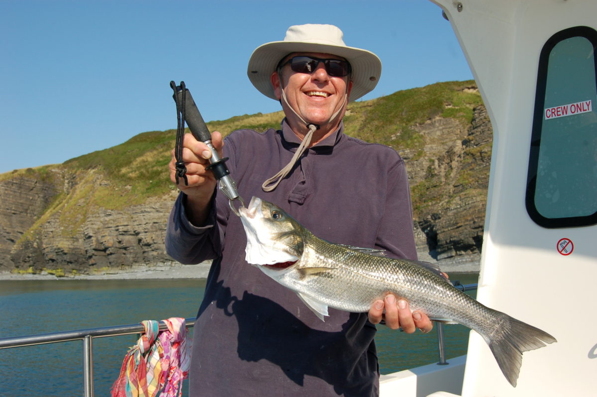 sea fishing trips new quay wales