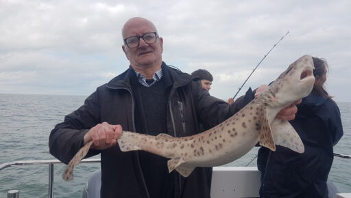 fishing trips from abersoch